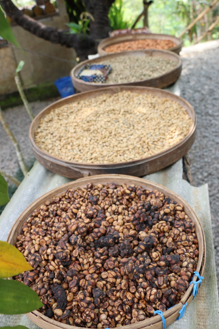 Ubud – Indonesia – Cuorecielo.com – Alfredo Paluselli