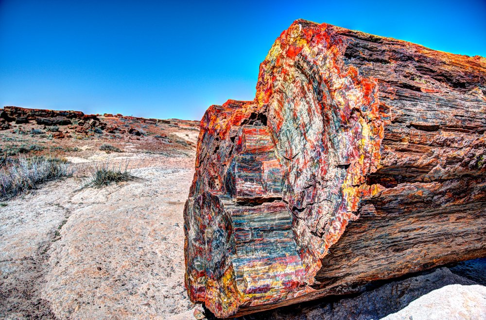 Petrified Forest (USA) - Cuorecielo - Alfredo Paluselli