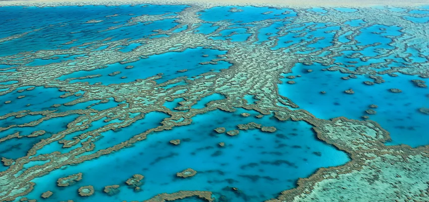 La Grande Barriera Corallina è un capolavoro della natura situato al largo della costa del Queensland, nell'Australia nord-orientale.